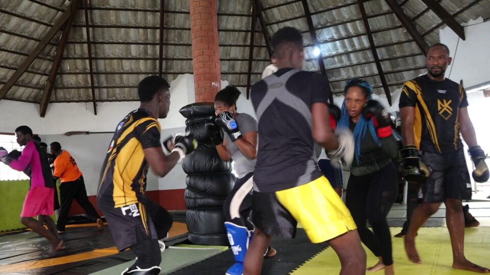 Les Arts martiaux mixtes ou Mixed martial arts (MMA) sont une discipline en plein essor au Bénin. Le sport de combat draine un monde de professionnels et amateurs dans un centre dédié à Cotonou tous les weekends et jours fériés, sous la houlette d’un haut fonctionnaire de l’Etat.