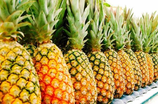 Depuis le dimanche 5  novembre 2023, l'ananas "pain de sucre" produit au Bénin  a fait son incursion sur le marché chinois.  En marge de la Foire internationale des importations de Chine à Shanghai, un partenariat a été établi pour l’exportation de l’ananas béninois en Chine