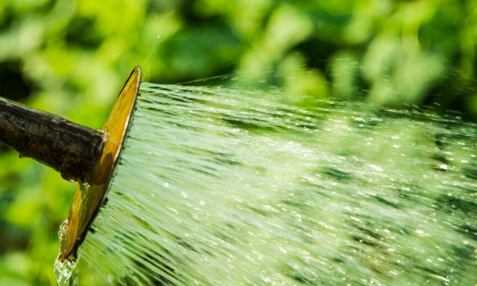 En vue de “de mettre en valeur l’important potentiel de (son) agriculture”, le Bénin veut réduire sa dépendance aux aléas climatiques